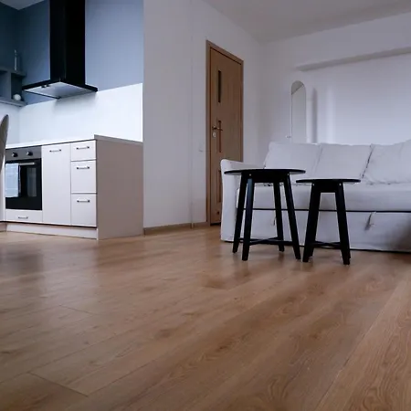 Stylish Studio L Old Town Βίλνιους