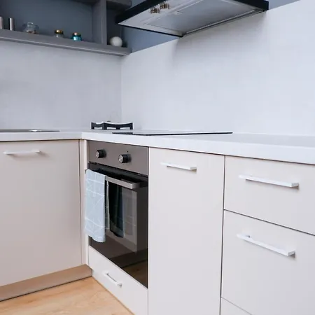 Stylish Studio L Old Town Βίλνιους
