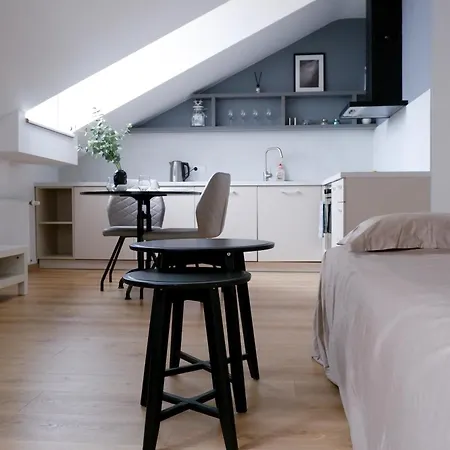 Apartmán Stylish Studio L Old Town Vilnius