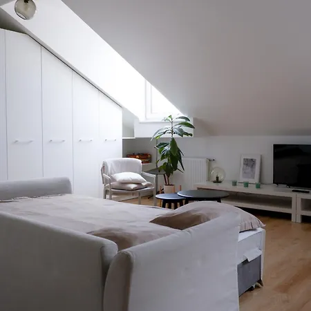 Apartmán Stylish Studio L Old Town Vilnius