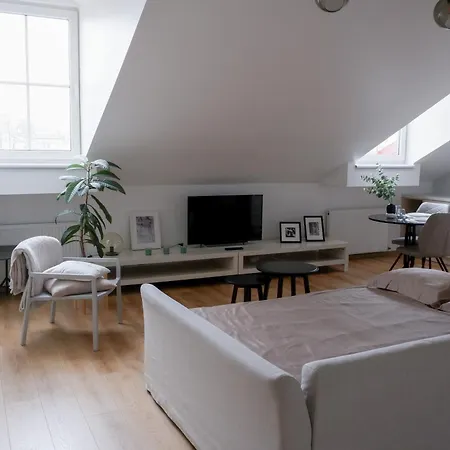 Stylish Studio L Old Town Apartmán Vilnius